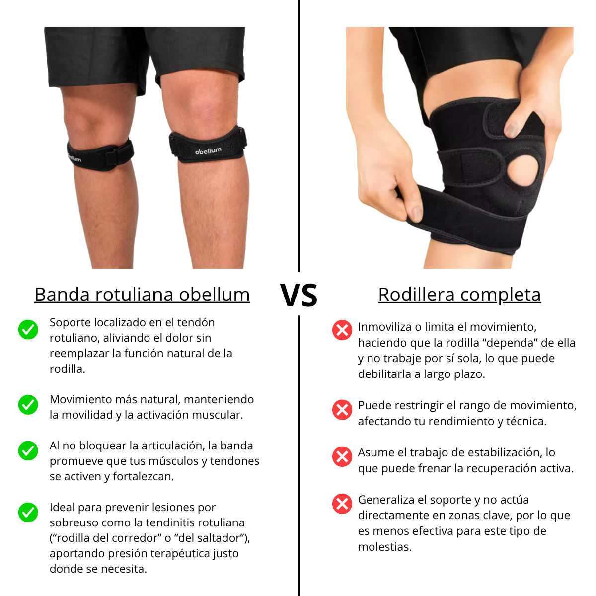 Banda rotuliana Obellum